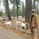 Craig Madsen of Healing Hooves showing off his goats. Image: Renee Lewis